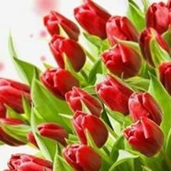 affan