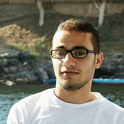 Mahmoud M. Alaa’s avatar