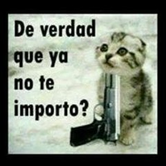 David Orozco