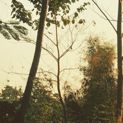 Daytime Dancing