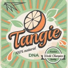 Tangie Dreams