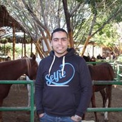 Walid Elsayed