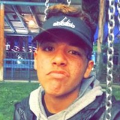 Chip