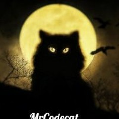 Mr.Codecat