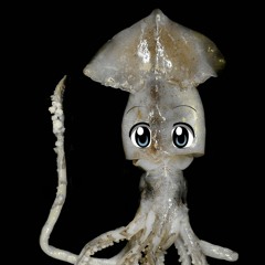 FinickySquid