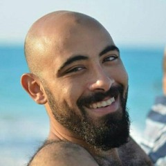 Muhammad A. Shawky