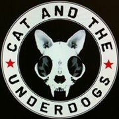 Cat and the Underdogs