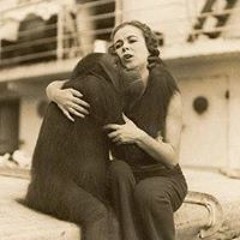 Elena Falomo