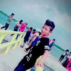 D1AN CEBONK