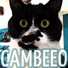 Cambeeo