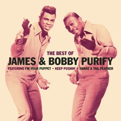 James & Bobby Purify