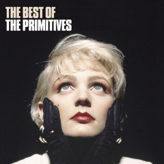 The Primitives