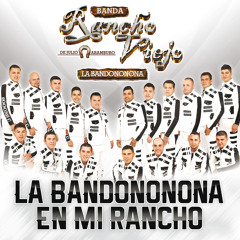 Banda Rancho Viejo De Jul