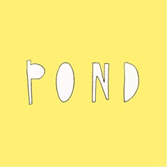 Pond Blog