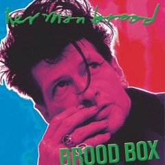 Herman Brood