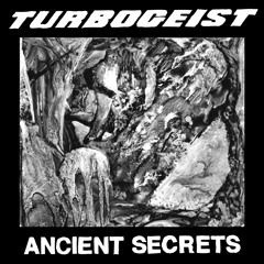 Turbogeist