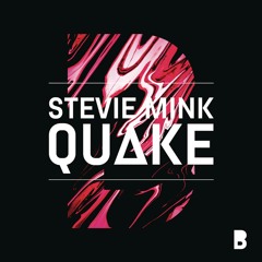 Stevie Mink