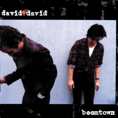 David & David