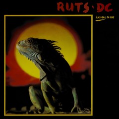 Ruts D.C.
