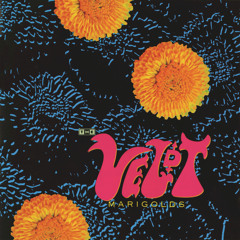 The Veldt