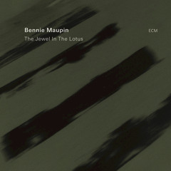 Bennie Maupin