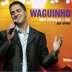 Waguinho