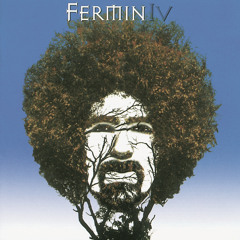 Fermin IV