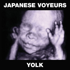 Japanese Voyeurs