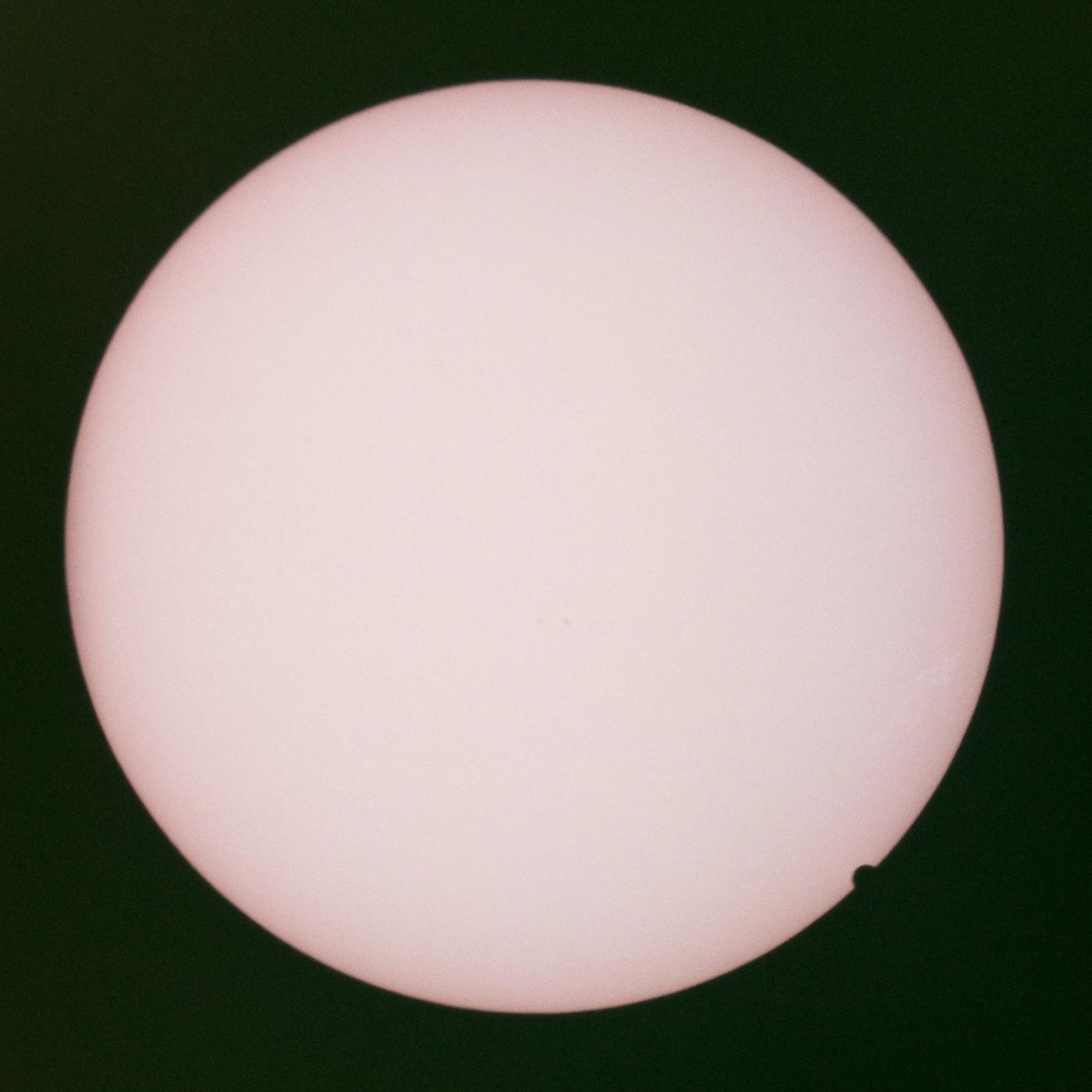 John Maus
