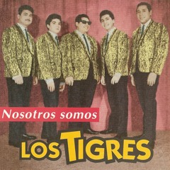 Los Tigres