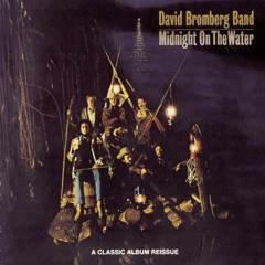 David Bromberg Band
