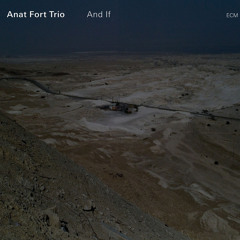 Anat Fort Trio