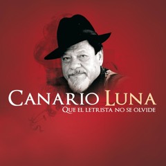 Canario Luna