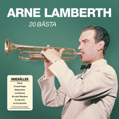 Arne Lamberth
