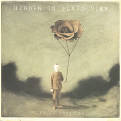 Hidden In Plain View