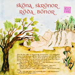 Röda Bönor