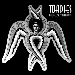 The Toadies