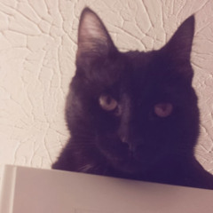 depuie
