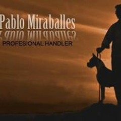 Pablo Miraballes