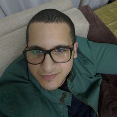 Mohamed Mohsen Ahmed