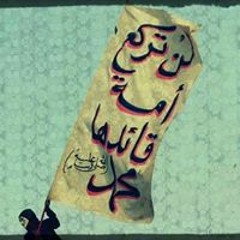 hossamhasaan@yamil.com