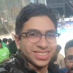 Omar K. El-Sheikh