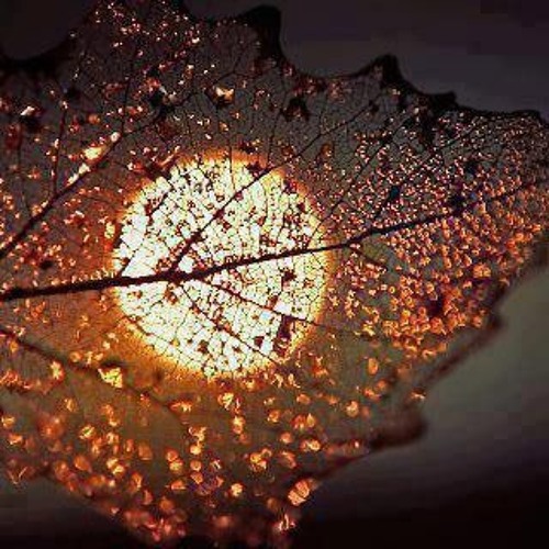 لك الله يا دعوة الخالدين