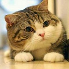 عظات