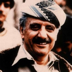 Selim Bapiri
