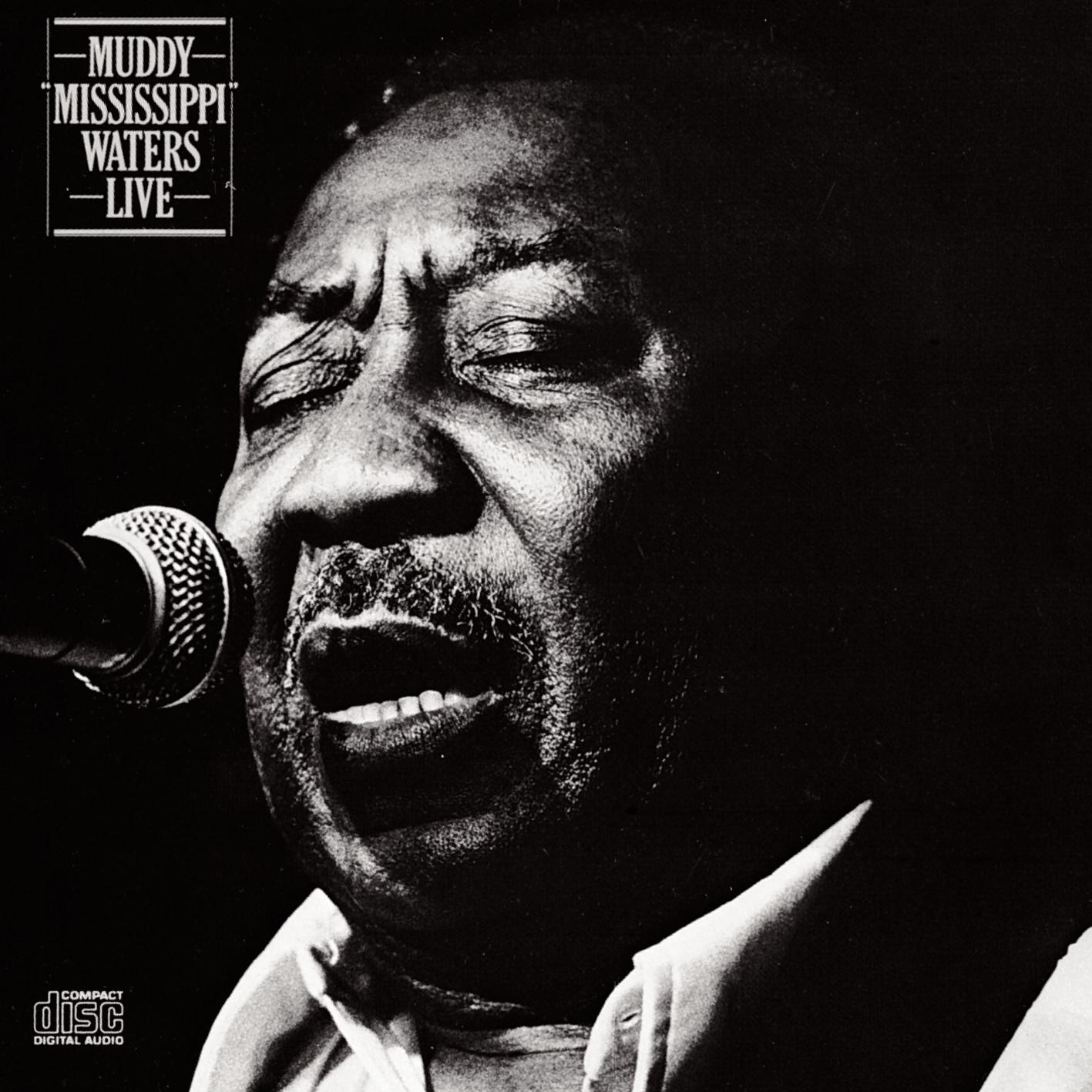 Muddy Waters