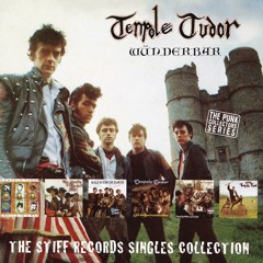 Tenpole Tudor