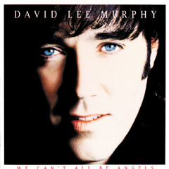 David Lee Murphy