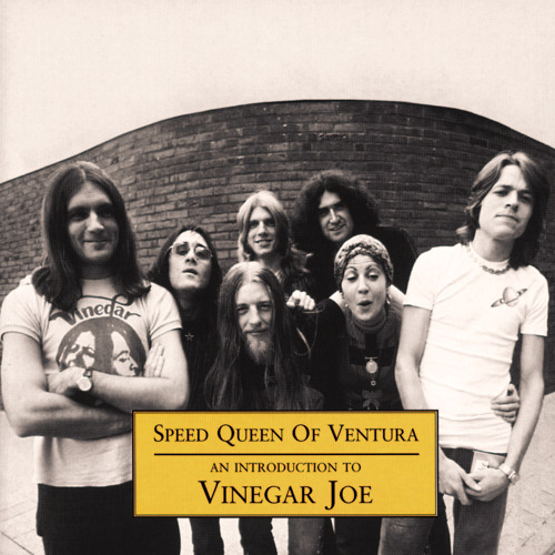 Stream Vinegar Joe music Listen to songs, albums, playlists for free