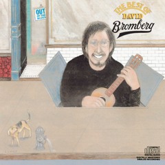 David Bromberg